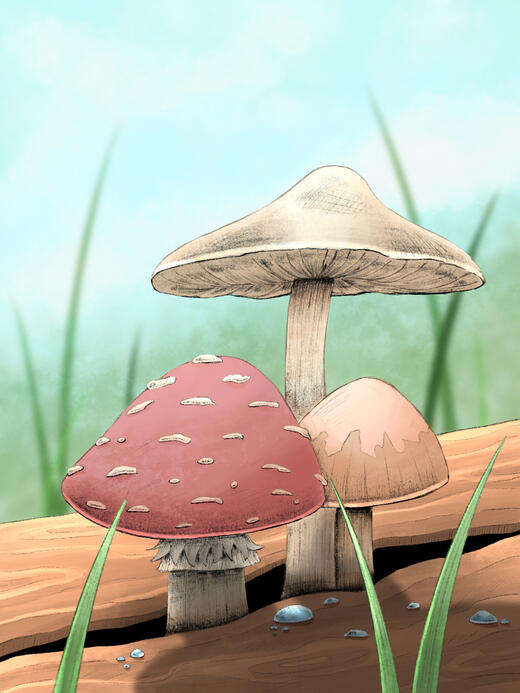 Mushrooms