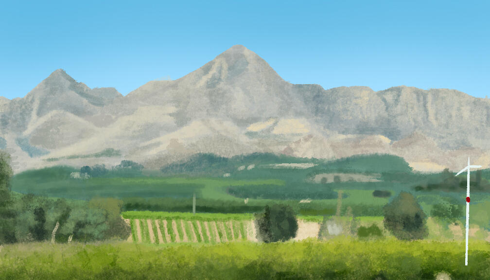 Vineyard